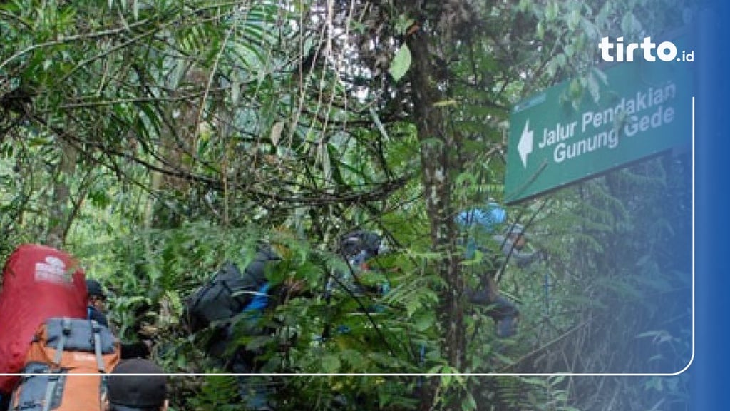 Simaksi Gunung Gede Pangrango, Cara Booking, Jalur & Info Harga
