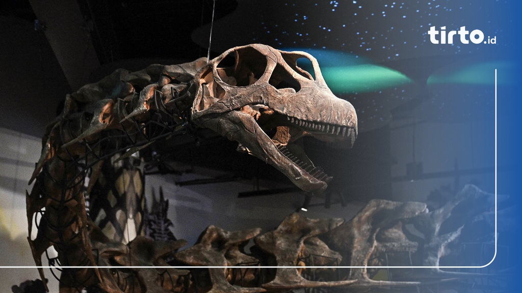 Nagatitan chaiyaphumensis: Fosil Sauropoda Raksasa yang Mengukuhkan Thailand sebagai Surga Dinosaurus Asia Tenggara