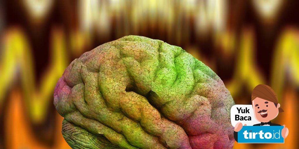 Betapa Misteriusnya Otak Dan Ingatan Manusia