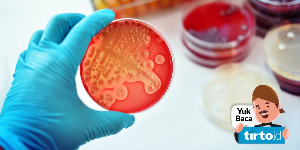 Mengapa Gonorea/Penyakit Kencing Nanah Merebak Lagi?