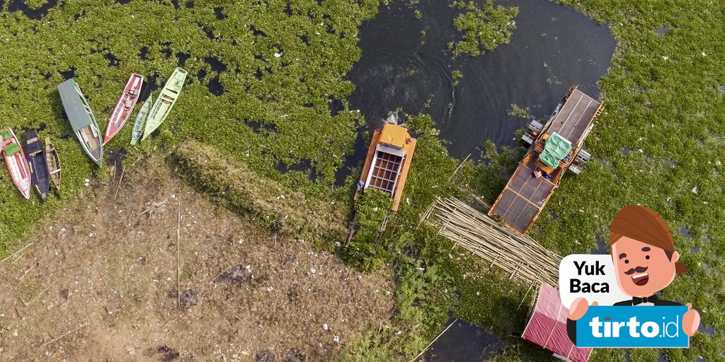 Bersihkan Kali Pakai Eceng Gondok Mengatasi Masalah Dengan Masalah Tirto Id