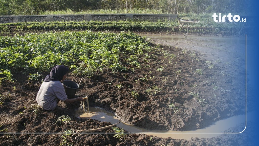 Siaga Darurat Kekeringan, 14 Kecamatan Di Gunungkidul Krisis Air