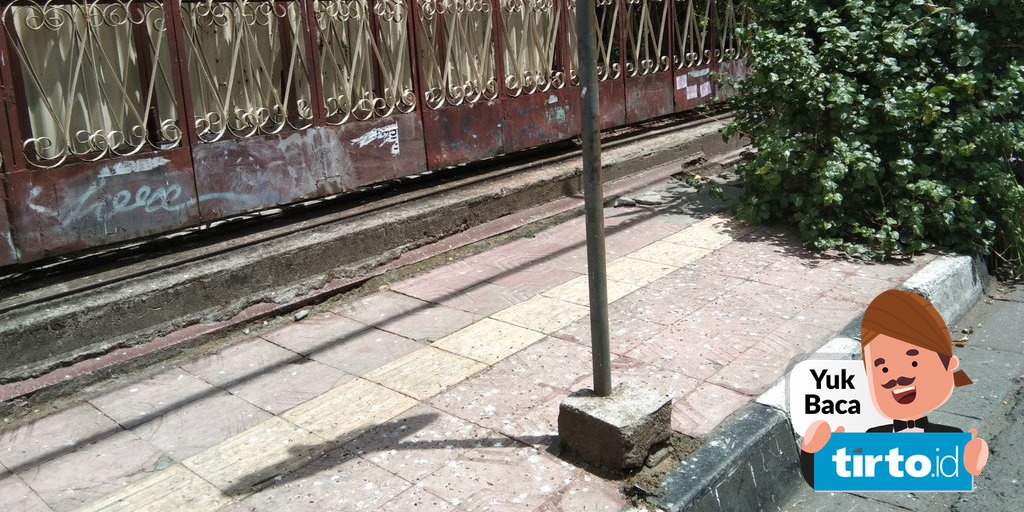 Burung Di Dekat Malioboro Adalah Layang Layang Asia Yang Bermigrasi Tirto Id