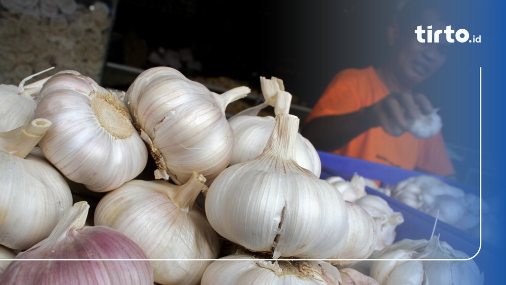 Bisakah Indonesia Menghilangkan Kecanduan Impor Bawang Putih Tirto Id