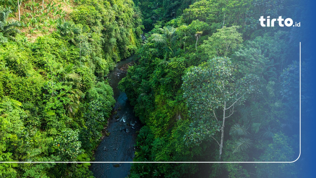 Ciri Ciri Bioma Tundra Taiga Sabana Stepa Gurun Dan Hutan