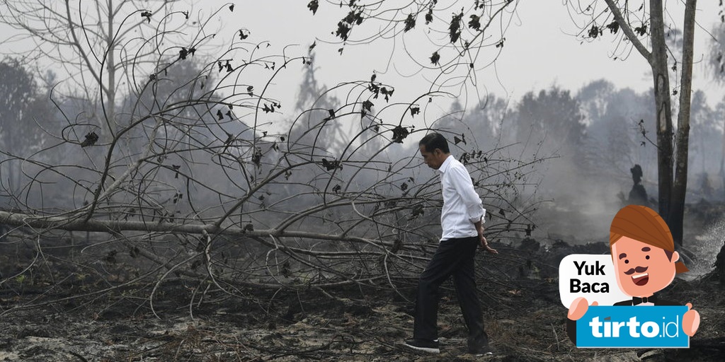 Kritik Koalisi Omnibus Law Merusak Ekologi Pinggirkan Perempuan Tirto Id