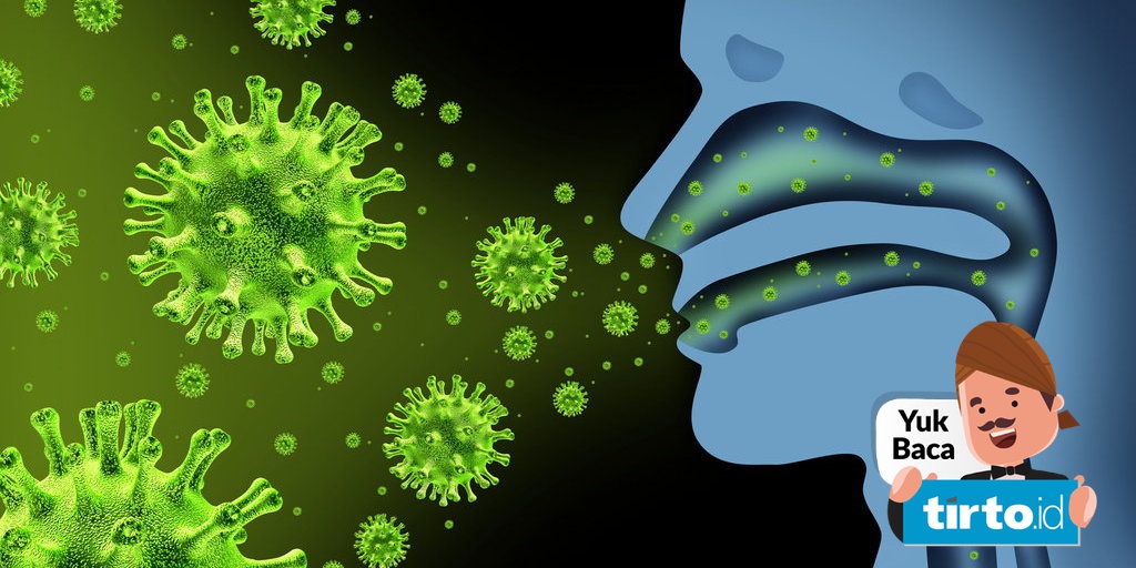 4 Faktor Yang Bisa Memunculkan Wabah Baru Seperti Corona Tirto Id