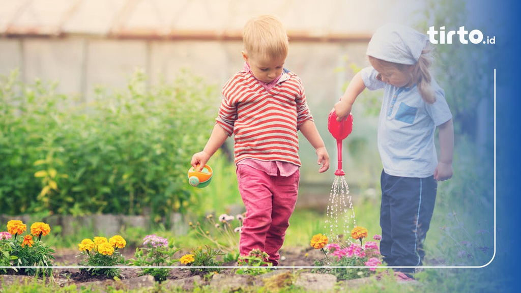 Apa Saja Tahap Perkembangan Kognitif Anak Menurut Teori Piaget