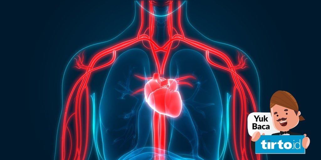 Sistem peredaran yang mengalirkan darah dari jantung ke paru disebut