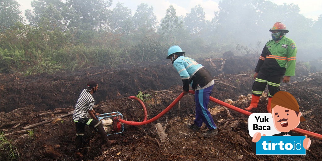 40 Hektare Lahan Gambut Di Pontianak Terbakar Sepanjang 2021