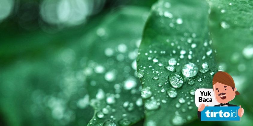 Kenali 6 Perubahan Wujud Benda Mencair Mengembun Hingga Menyublim Tirto Id