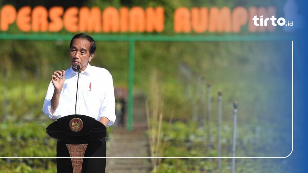 Jokowi Targetkan RI Bisa Swasembada Jagung Pada 2024